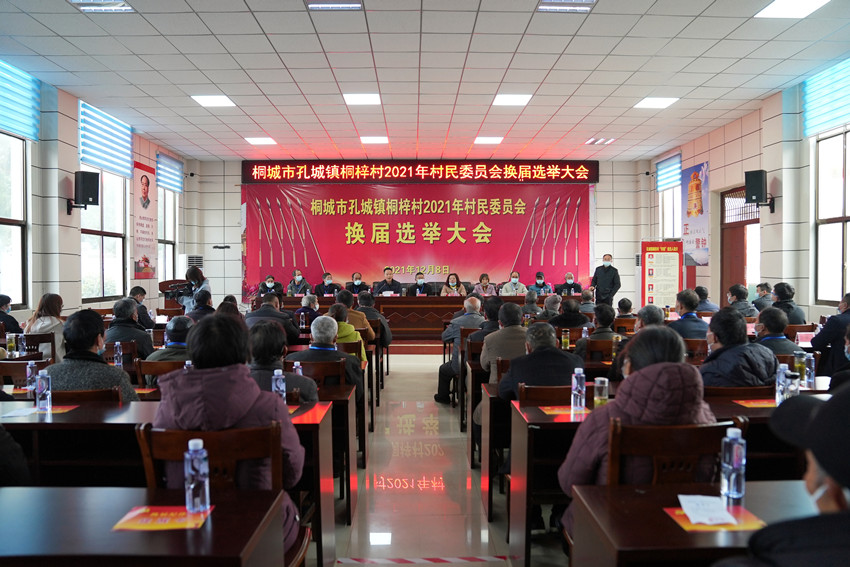 桐城市孔城镇桐梓村2021年村民委员会换届选举大会举行.jpg