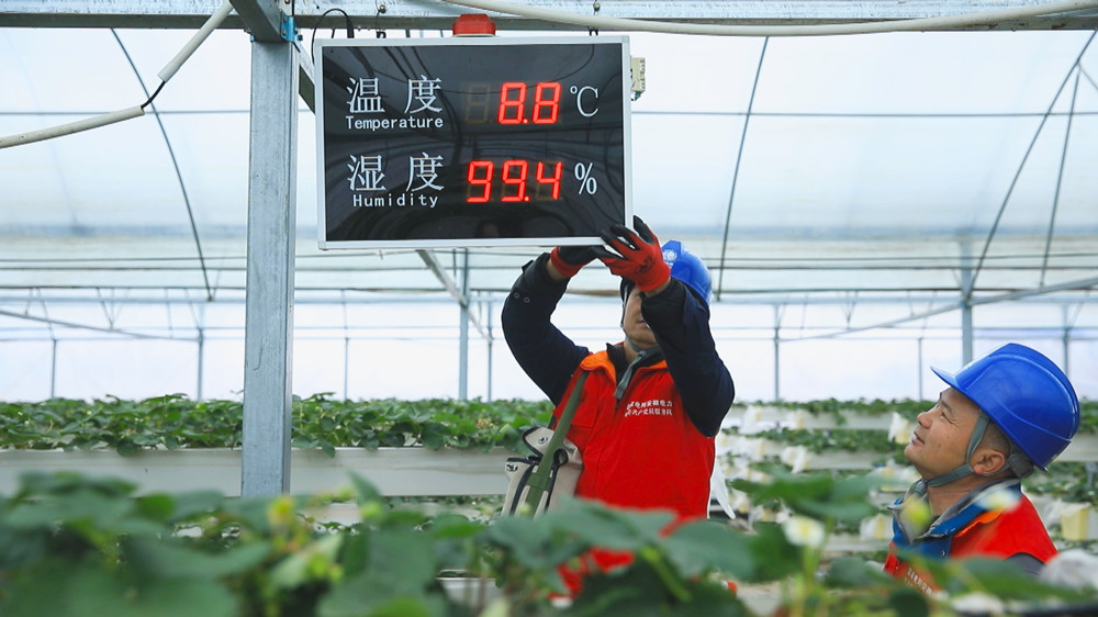 图为国网桐城市供电公司党员服务队正在对某大棚温控设备进行用电维护.jpg