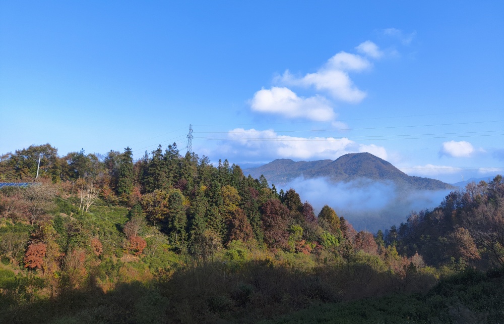 桐城市黄甲镇秋景.jpg