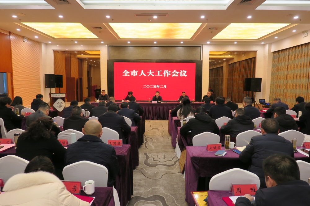 全市人大工作会议2.JPG