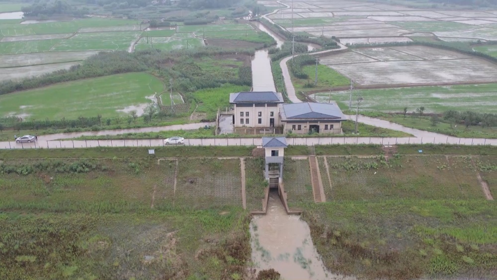 排涝(1).jpg
