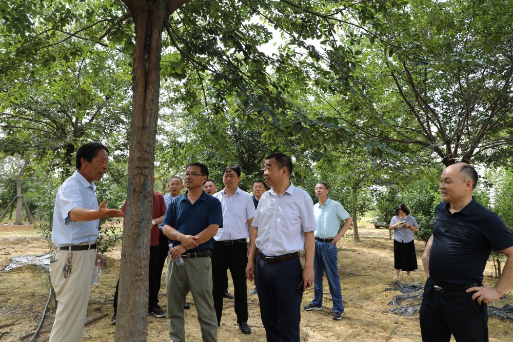图为调研现场(6).JPG